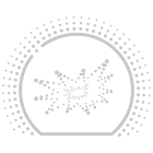 二等奖